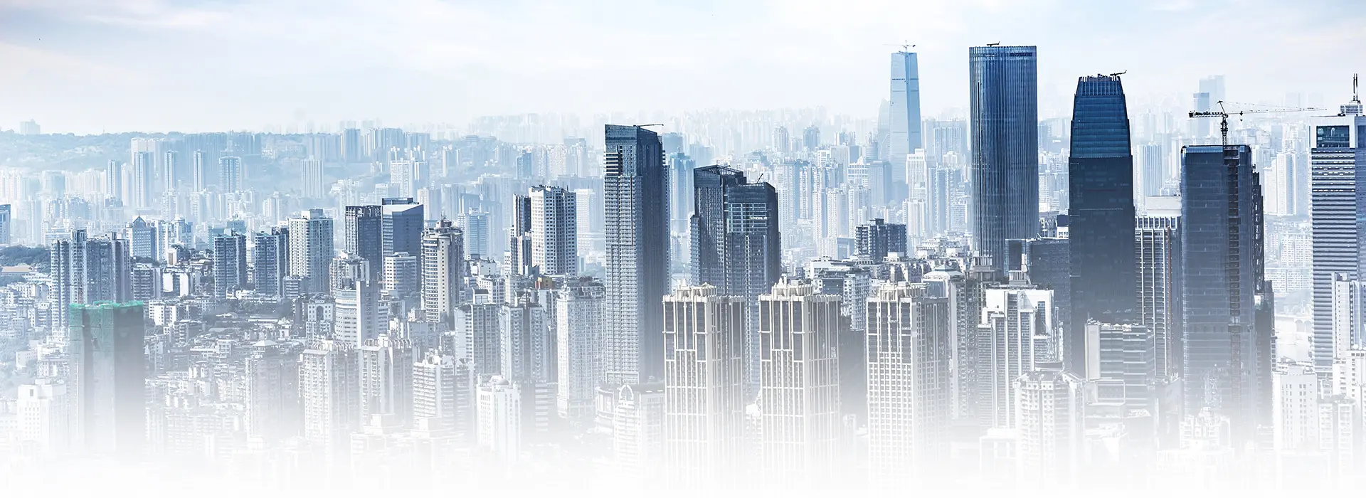 Strony internetowe stalowa wola i okolice